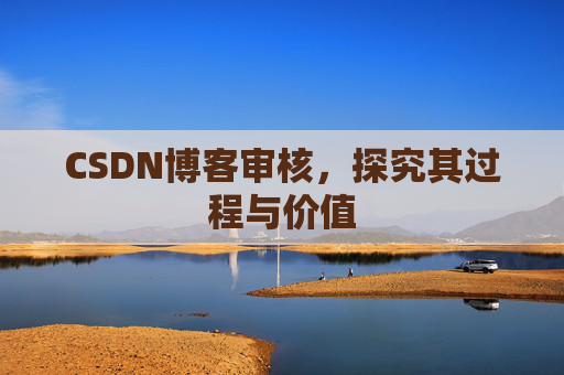 CSDN博客审核，探究其过程与价值
