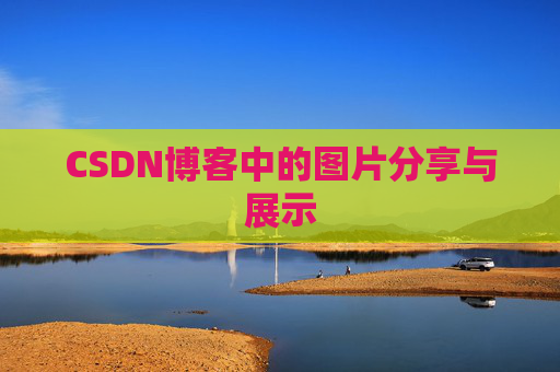 CSDN博客中的图片分享与展示